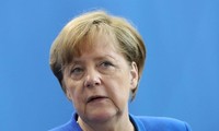 Bundeskanzlerin Angela Merkel lehnt Zusammenarbeit mit AfD ab