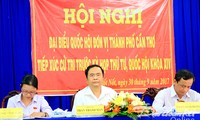 Vorsitzender der Vaterländischen Front Vietnams führt Arbeitstreffen in Can Tho