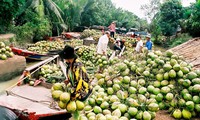 Kokosbäume in Ben Tre