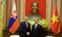 Staatspräsident Tran Dai Quang empfängt den slowakischen Vize-Premierminister in Hanoi
