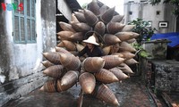 Gemeinde Thủ Sỹ in Hung Yen, die seit mehr als 200 Jahren das “Do” flechtet