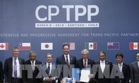 Vietnam spielt eine wichtige Rolle bei der CPTPP-Strategie Japans