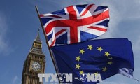 EU überredet Großbritannien, in der Zollunion nach dem Brexit zu bleiben