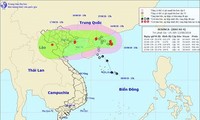 Die Provinzen sind aktiv bei der Bewältigung des Taifuns Bebinca