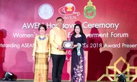 Preis zur Ehrung der Beiträge der vietnamesischen Frauen