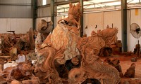 Entdeckung des Handwerksdorfs für Holzgravur Dong Giao