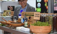 Chance zur Bewerbung von landwirtschaftlichen Tiefkühlprodukten aus Vietnam in Japan