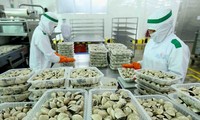 Vietnam exportiert zusätzlich drei neue Sorten von Meeresfrüchten nach China