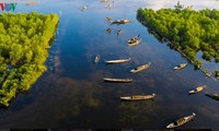 Die Quang-Loi-Lagune: ein interessantes Besuchsziel in Thua Thien Hue