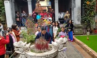Hanoi eröffnet die Serie von Kulturaktivitäten mit dem Thema “Tet auf den Straßen”