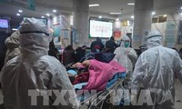 Anzahl der Infektionen und Todesopfer wegen Coronavirus im chinesischen Hubei steigt drastisch