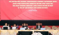 Tagung des ASEAN-Handelsverhandlungsausschusses über das regionale Wirtschaftspartnerschaftsabkommen