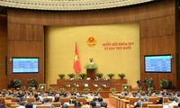 Das Parlament billigt den Beschluss zur Organisation der Stadtregierung in Ho-Chi-Minh-Stadt