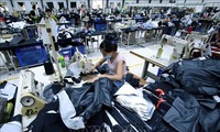 Großbritannien bietet weiterhin APS-Präferenzen für aus Vietnam importierte Waren an
