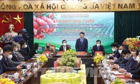 Die Provinz Bac Giang fördert den Konsum von Litschi auf dem US-Markt