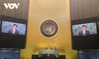 Vietnam bekräftigt die Notwendigkeit der Dialoge zur Beendigung der nuklearer Gefahr in der Welt