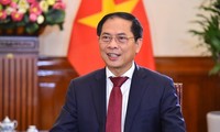Vietnam wird gemeinsam mit der internationalen Gemeinschaft eine friedliche Welt aufbauen