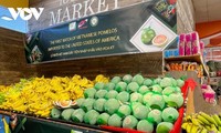 Vietnams Obst- und Gemüseexporte können im Jahr 2023 vier Milliarden US-Dollar erreichen