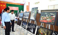 Eröffnung der Gemälde- und Kunstfotoausstellung zum vietnamesischen Neujahrsfest