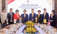 Sun Group fördert die Entwicklung des vietnamesischen Fußballs