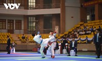 Mehr als 250 Sportler nehmen an der 3. Karate-Meisterschaft Nordvietnams teil