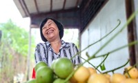 Bewohner in U Minh entwickeln Tourismus in Gärten birmanischer Trauben