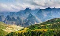 Die Schönheit des Kalkplateaus Dong Van in der Provinz Ha Giang