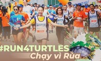 “Laufwettbewerb für Schildkröten”: Schutz der wertvollen und seltenen Tierarten