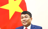 Erwartungen an den Besuch des chinesischen Staatspräsidenten, Xi Jinping, in Vietnam