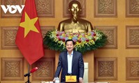 Vize-Premierminister Le Minh Khai tagt mit der nationalen Finanzaufsichtskommission