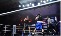 Vietnamesische Boxer gewinnen alle bei der Veranstaltung der Weltboxorganisation