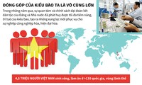 교포: 베트남 성공의 중요한 요인