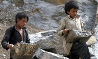 아동 노동 방지를 위한 많은 방안 모색