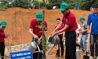 베트남의 토지 사막화와 황폐화 방지 강화