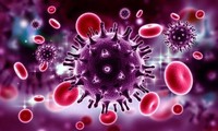 새로운 연구로 HIV 바이러스 예방 희망 열어