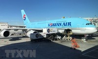 한국 대표 항공사, 일본 노선 감축