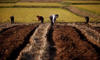 유엔, 조선에 대한 EU의 농기계 지원 허용