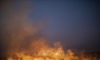 브라질 정부, '아마존 화재 진압' G7 지원 거부