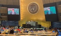 베트남, ‘해양 및 해양법’에 대한 74기 유엔총회 본회의 참석