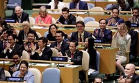 베트남, 유엔안전보장 이사회 비상임국 공식 담당