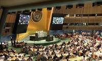 베트남 유엔안보리 비상임이사국 '황금 기회'