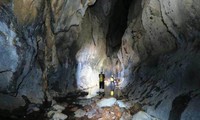 꽝빈성서 동굴 12개 새로 발견
