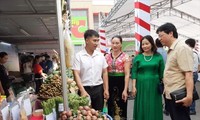 하노이에서 과일-농산물 주간 개최