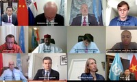 베트남 – 유엔 안보리, 서아프라카 및 사헬 지역 문제에 대한 온라인 토론