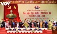 팜빈민 외교부 장관 겸 부총리: "타이 응우옌 지방에 신속하고 지속 가능한 발전 도입..."