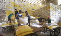 EAEU, 2021년 베트남 쌀 만톤 쿼터 약정