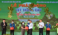 “녹색의 베트남” 현실화를 위하여 10억 그루 나무 심기