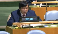 베트남, 미얀마의 조속한 안정과 발전을 희망