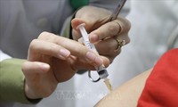 코로나19  백신 나노코박스 2단계 접종  560회 분량 시험 접종을 완료