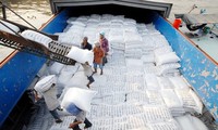 미국 농업부, 베트남 전세계 쌀 수출 2위 예상
